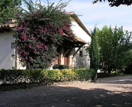 Apartment Padruno